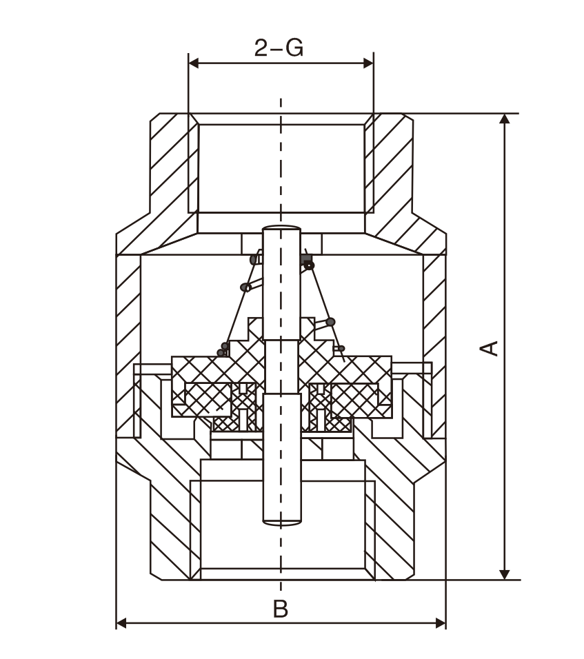 黃(huáng)銅立式止回閥(圖(tú)1)