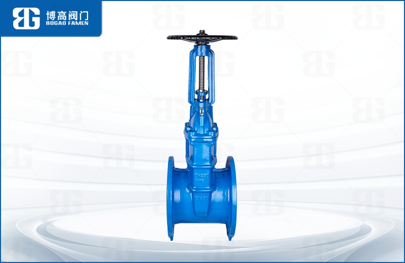 明杆彈性(xing)座封閘閥