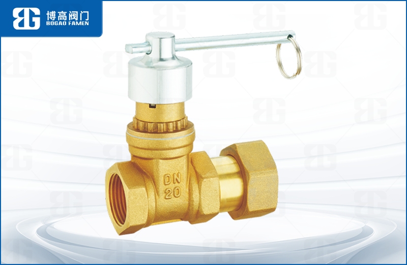 磁性鎖閉活(huó)接止回閘閥(fá)