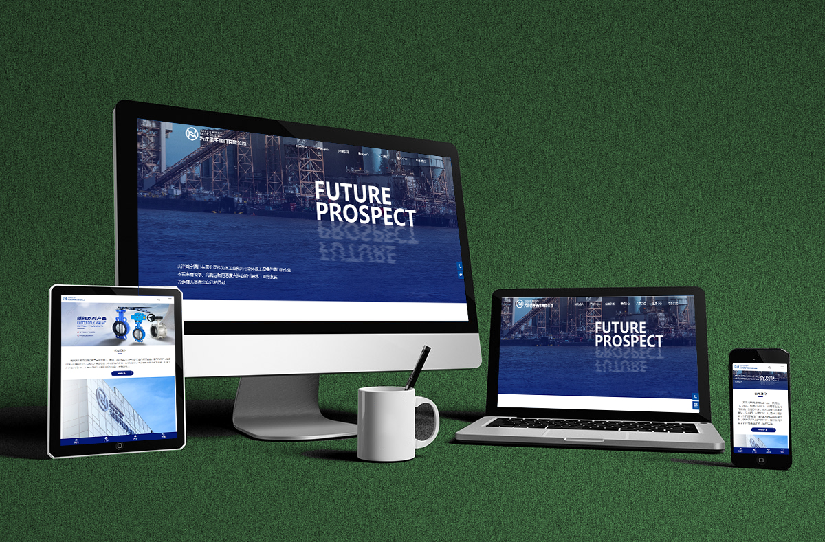 熱(rè)烈慶賀(he)南京博(bo)高閥門(mén)有限公(gōng)司網站(zhan)正式開(kāi)通