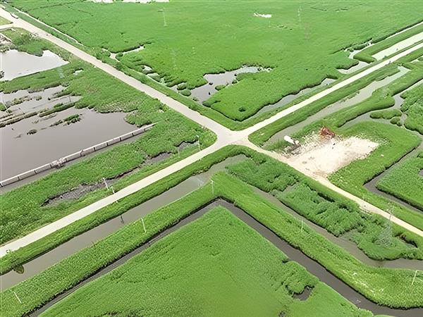 打(dǎ)造綠色低碳(tan)油田 做綠色(se)發展的“頂梁(liang)柱”